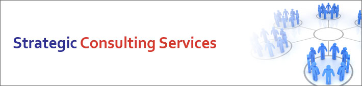 Management Consulting Services